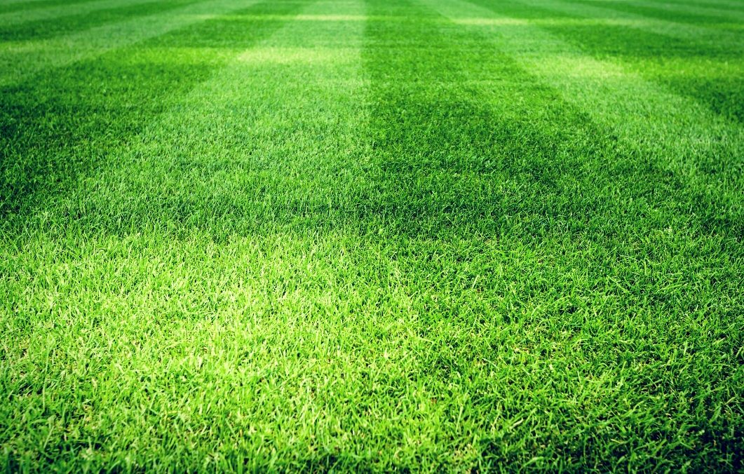 футбольное поле трава разная полосы