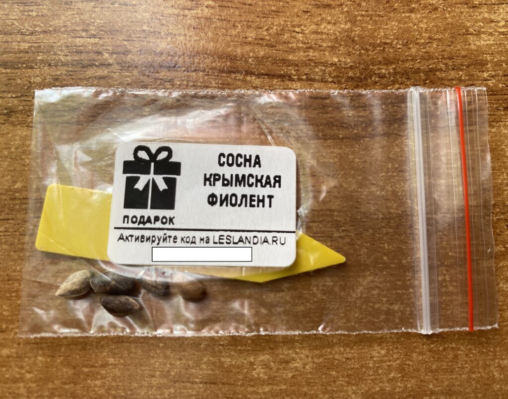 семена крымской сосны от лесландии