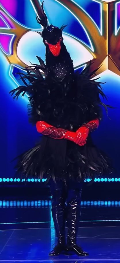 черный лебедь в шоу Маска Танцы